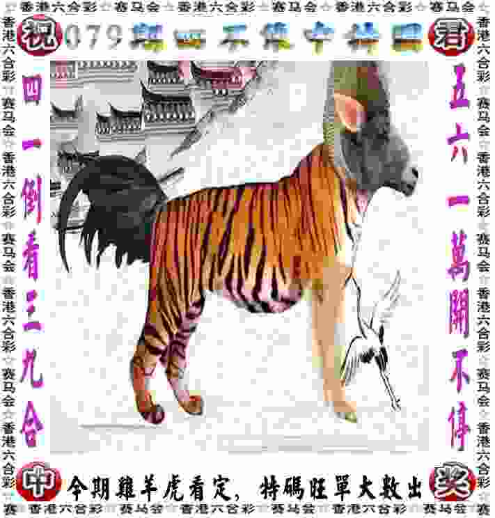 张博恒重夺全国体操锦标赛男子个人全能冠军